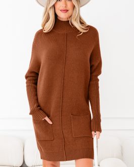 Chestnut Ribbed High Neck Front Pockets Center Seam Shift Sweater Dress